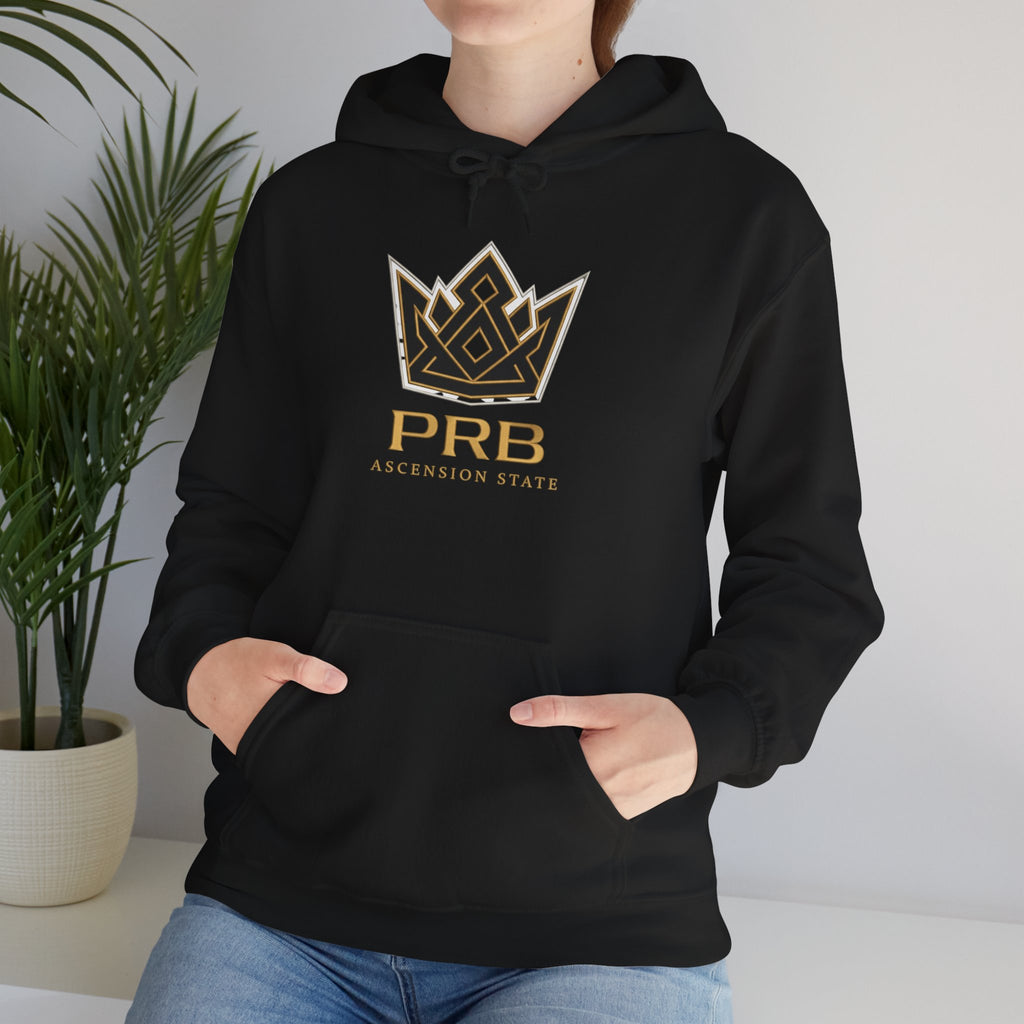 Power Runs Black PRB Logo Hoodie — Ascension State Crown Design by Printify