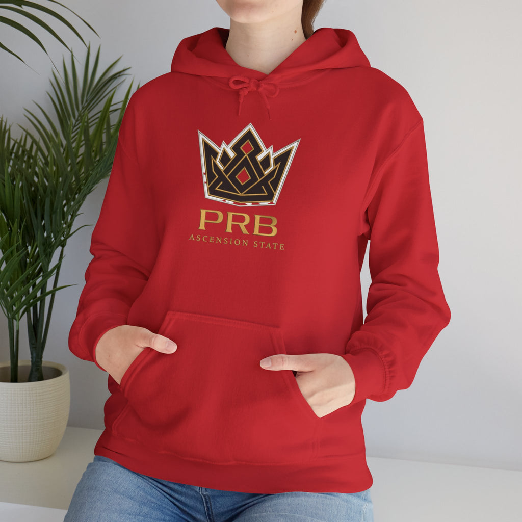 Power Runs Black PRB Logo Hoodie — Ascension State Crown Design by Printify