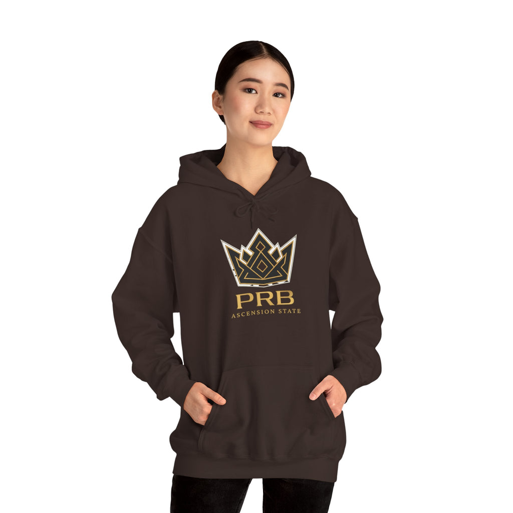 Power Runs Black PRB Logo Hoodie — Ascension State Crown Design by Printify