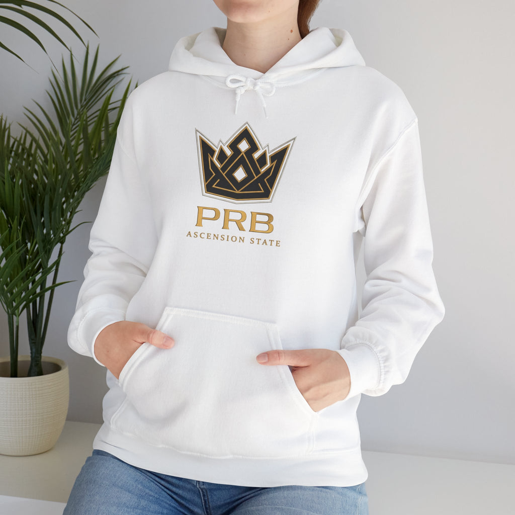 Power Runs Black PRB Logo Hoodie — Ascension State Crown Design by Printify