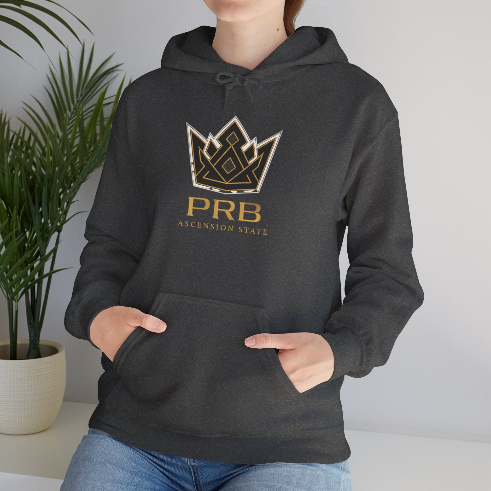 Power Runs Black PRB Logo Hoodie — Ascension State Crown Design by Printify