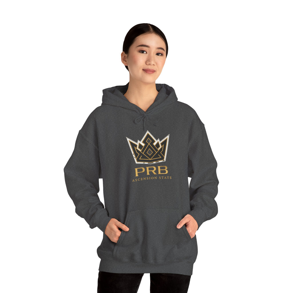 Power Runs Black PRB Logo Hoodie — Ascension State Crown Design by Printify
