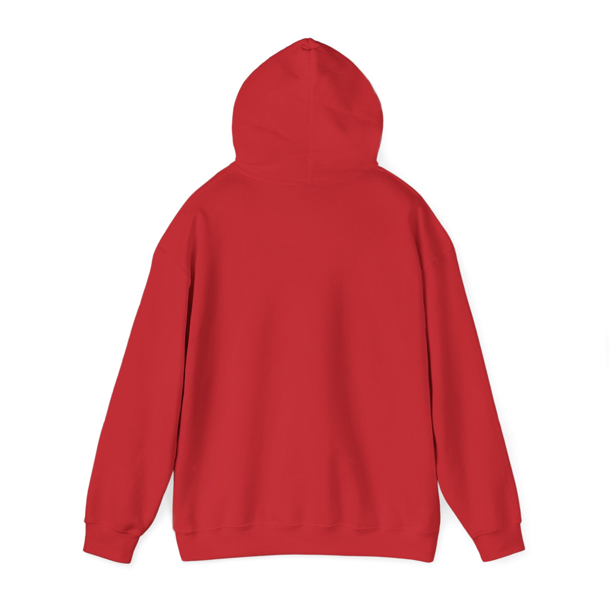 PRB Sassy Grandma Illustration Hoodie | "Not Tryna Fight No Ole Lady." by Power Runs Black