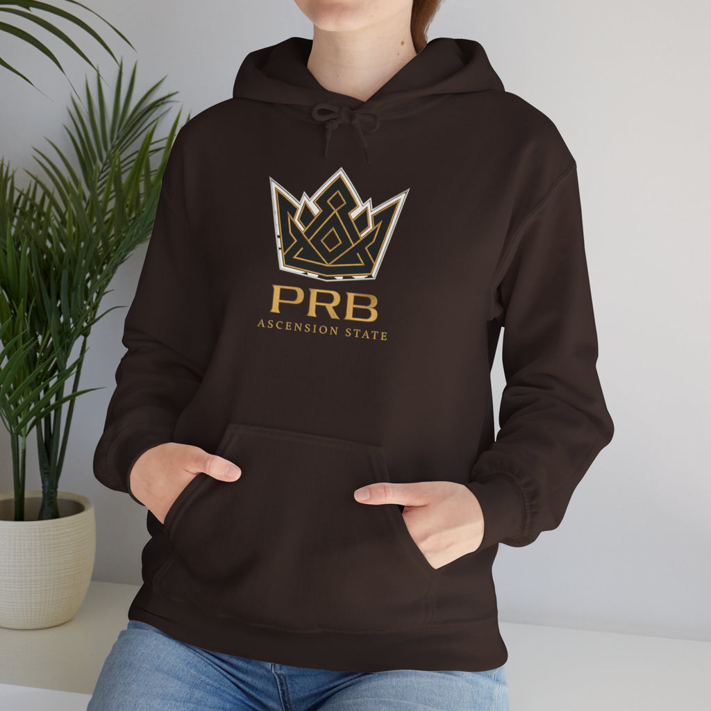 Power Runs Black PRB Logo Hoodie — Ascension State Crown Design by Printify