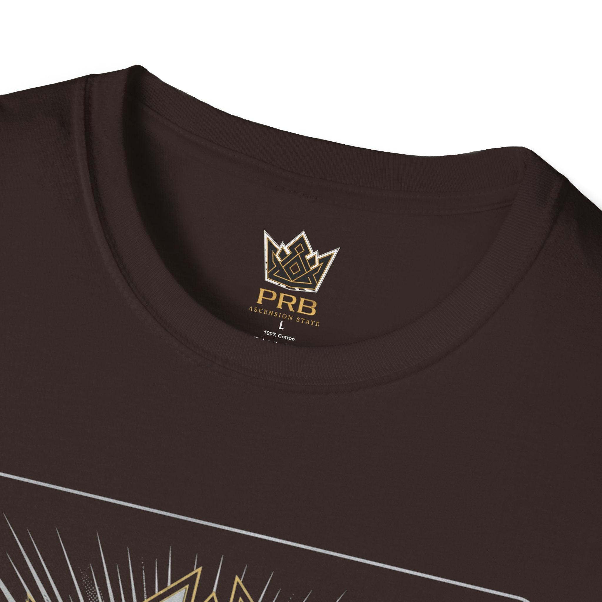 Power Runs Black PRB The Current Geometric Logo T-Shirt by Printify