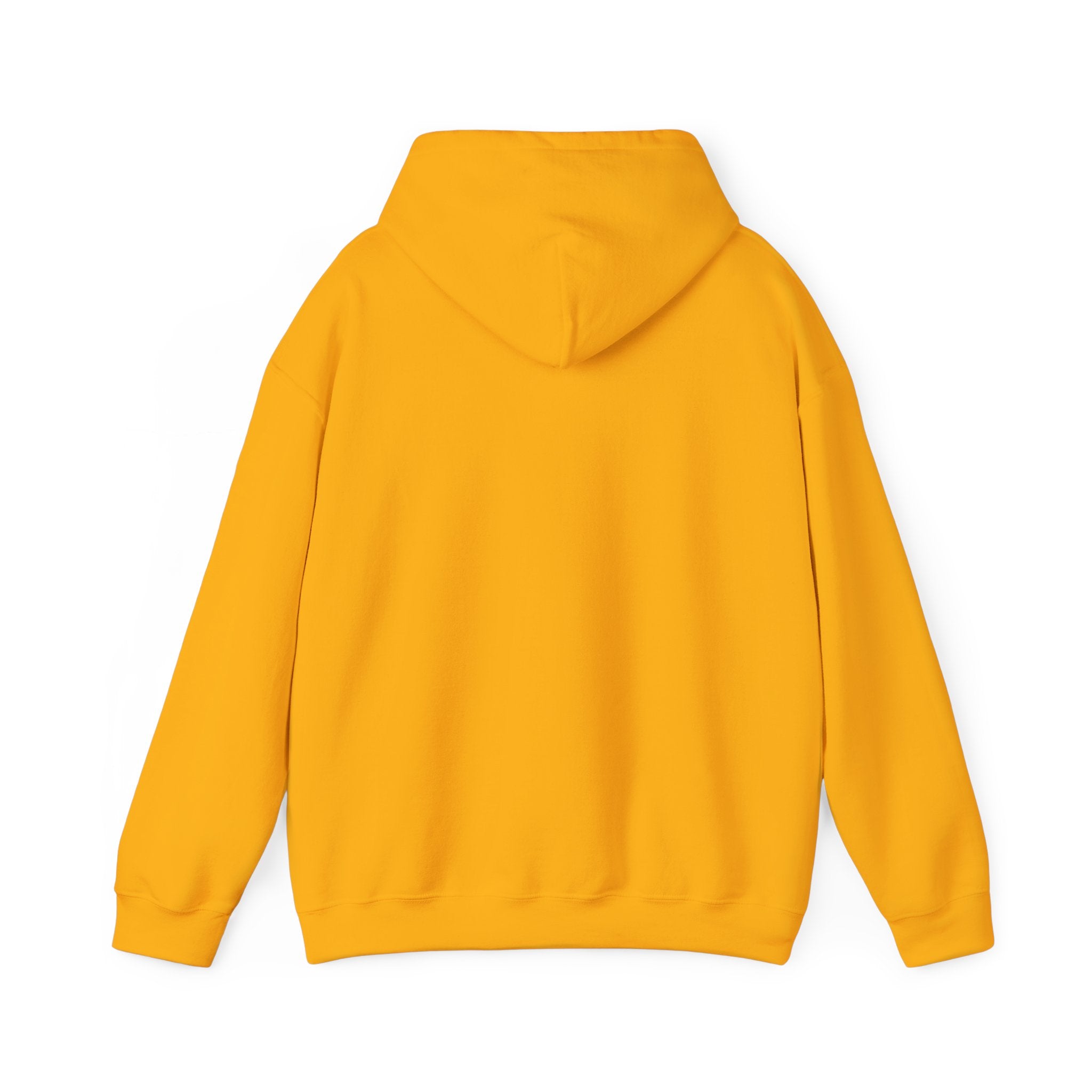 PRB Colorful City Skyline Hoodie – Vibrant Nighttime Urban Graphic by Power Runs Black