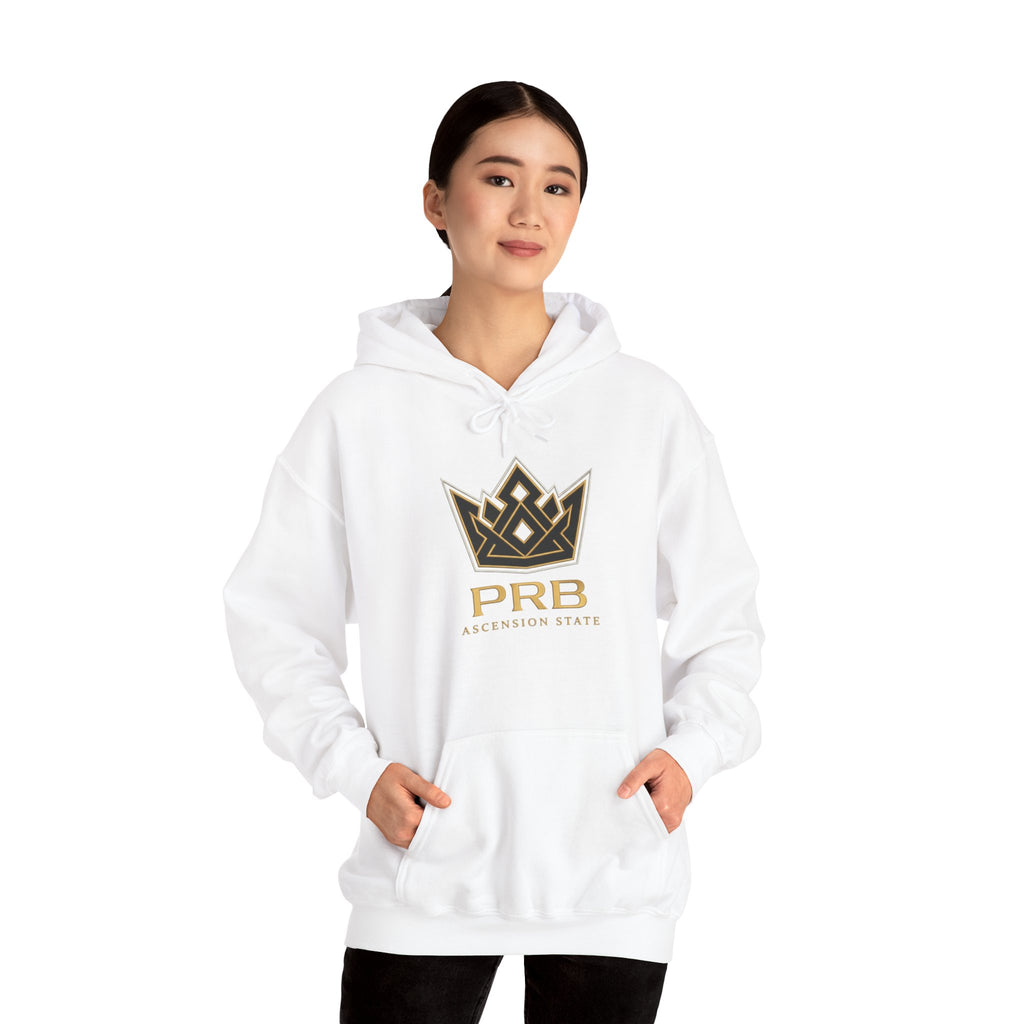 Power Runs Black PRB Logo Hoodie — Ascension State Crown Design by Printify