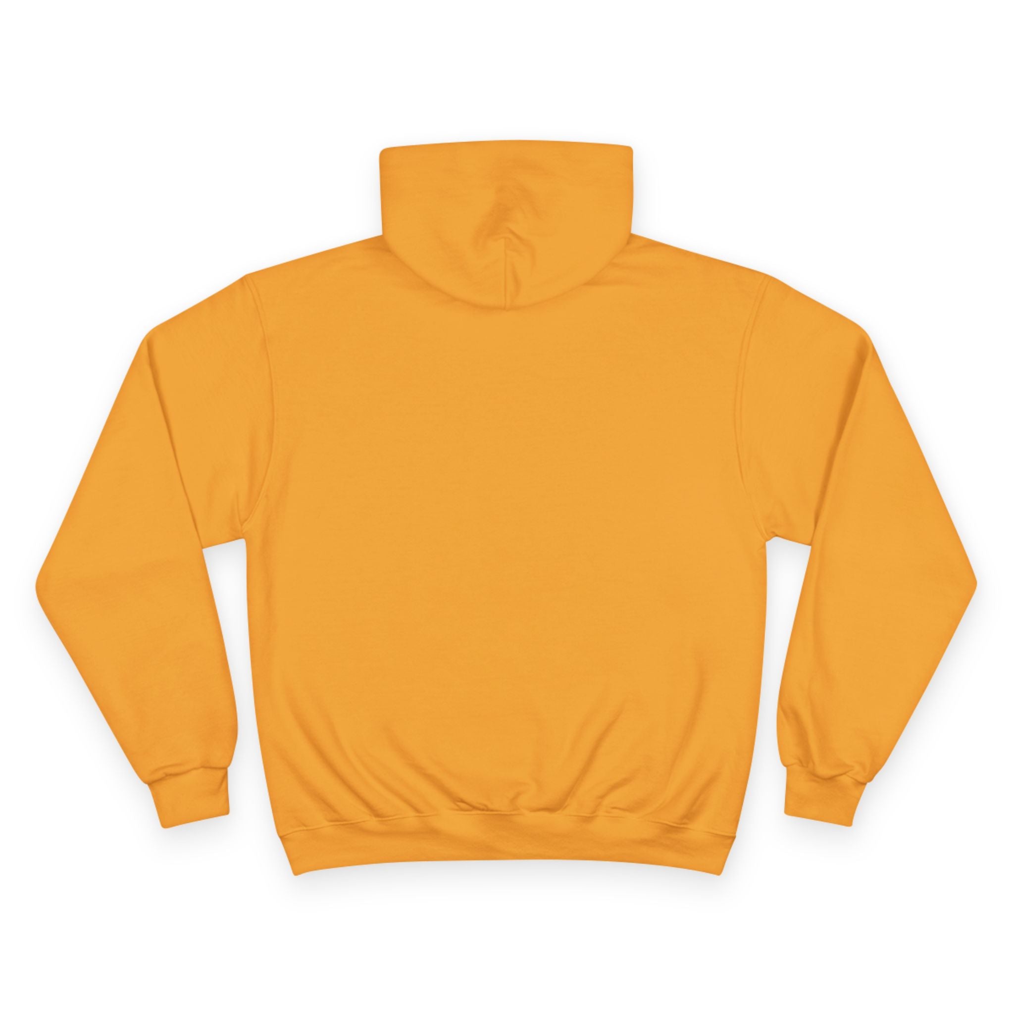 PRB Champion Hoodie — Vintage Tour Graphic Pullover by Power Runs Black