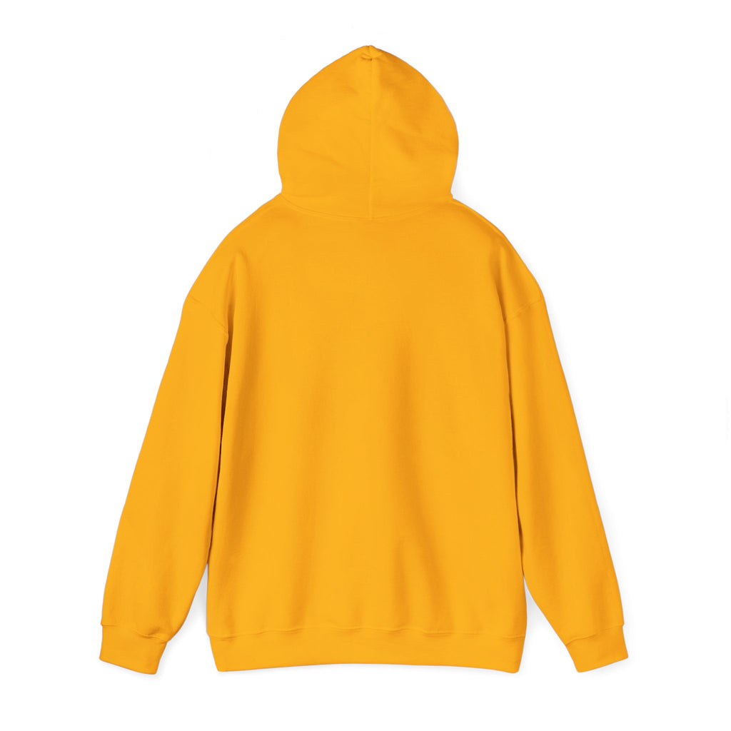 PRB Sassy Grandma Illustration Hoodie | "Not Tryna Fight No Ole Lady." by Power Runs Black