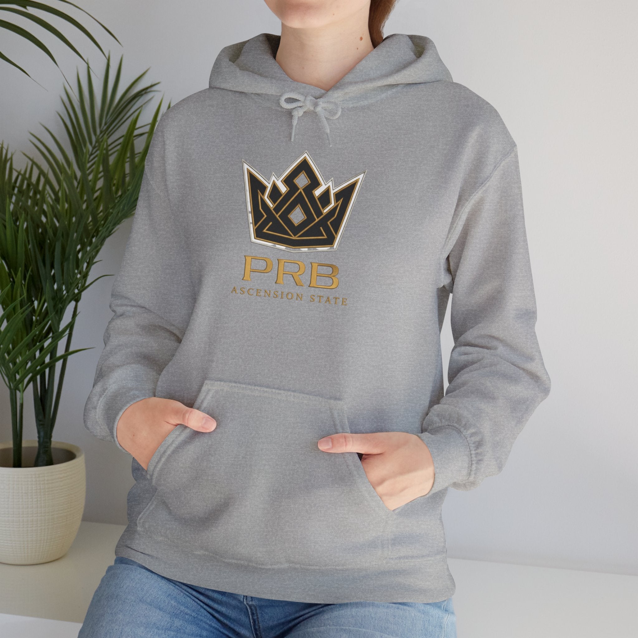 Power Runs Black PRB Logo Hoodie — Ascension State Crown Design by Printify